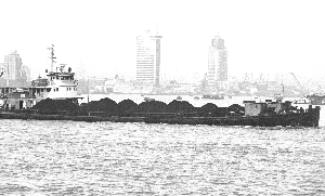 新闻图片201071992791282181229171_8359.jpg