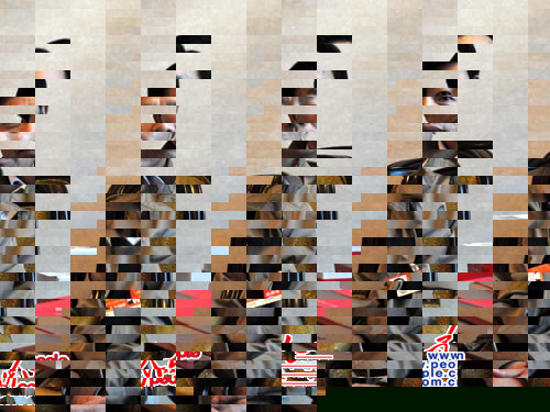 F201103140006432548247381