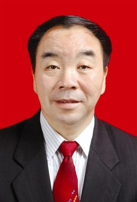 中国有色金属工业协会副会长 张洪恩
