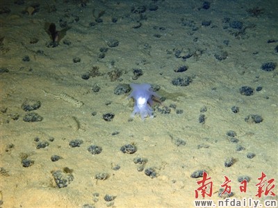 W020110819452954201136