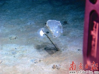 W020110819452954277424