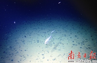 W020110819452954154352