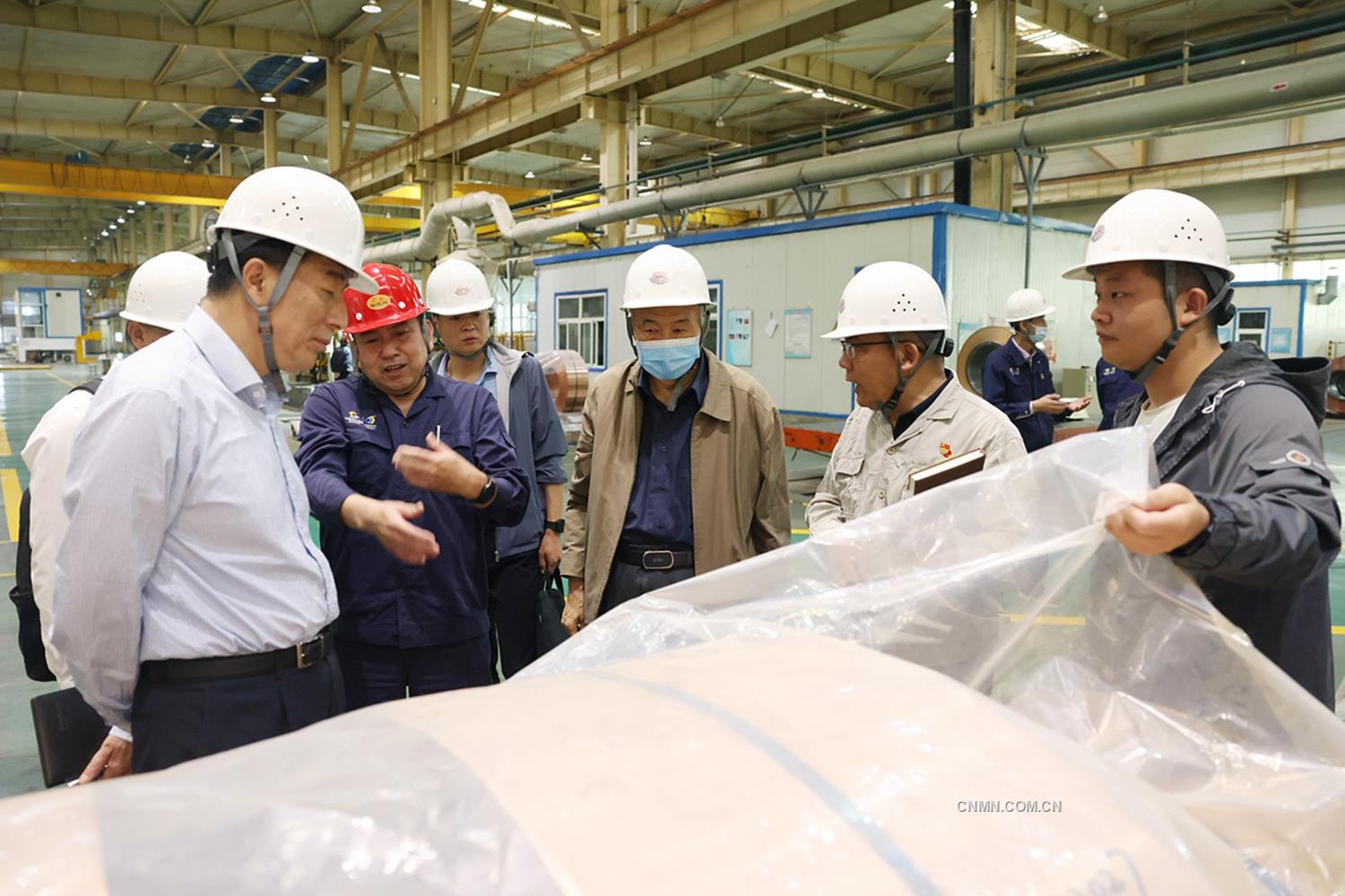 何院士一行来访中色东方3