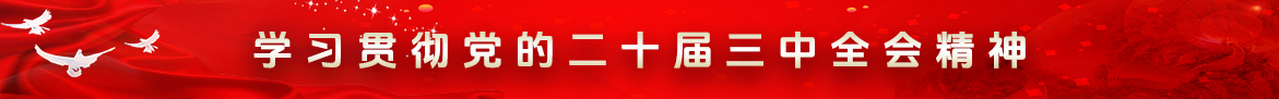 学习贯彻党的二十届三中全会精神