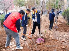 中色科技团委植树护绿学雷锋